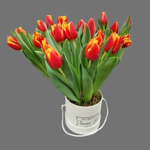 234 Aranjamente Florale - Florarie Online - Livrari Flori Roman Neamt